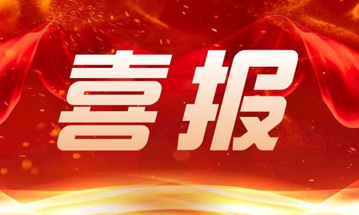 安徽科達(dá)潔能煤氣化技術(shù)榮獲省級(jí)科技進(jìn)步三等獎(jiǎng)